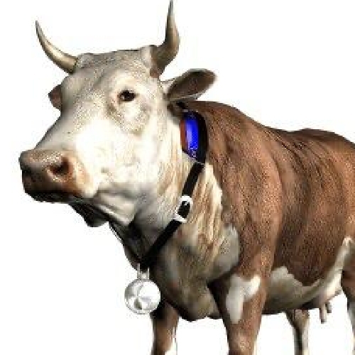 حسگرینو دام