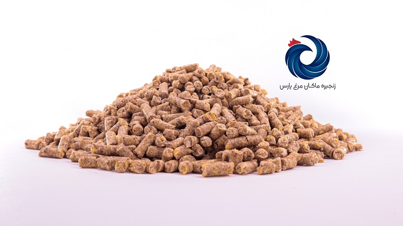 پایان دان یک