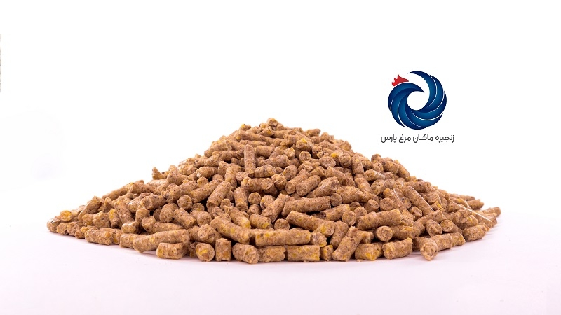 پایان دان دو