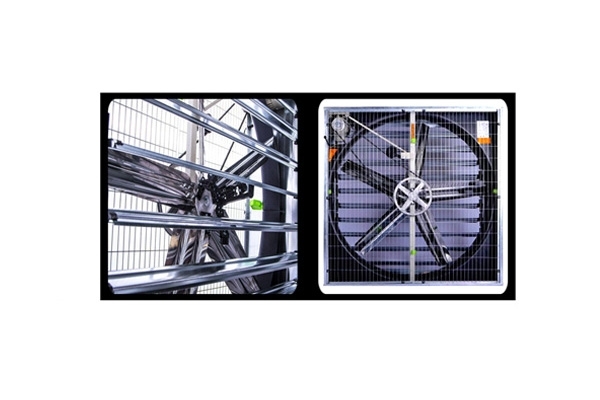 فن اگزاست 90