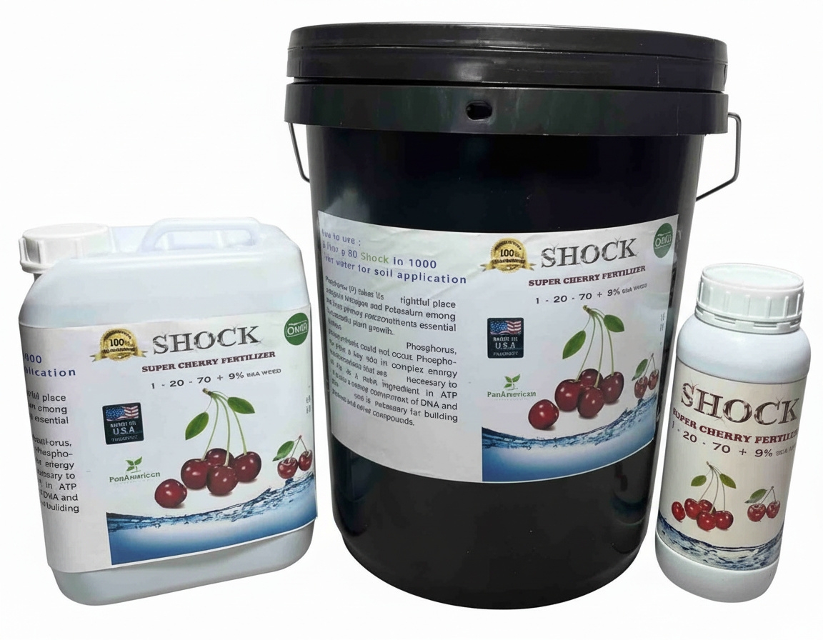 کود گیلاس شوک