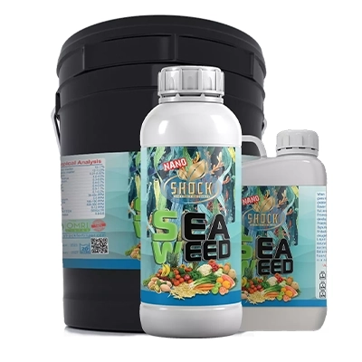 کود جلبک دریایی مایع شوک