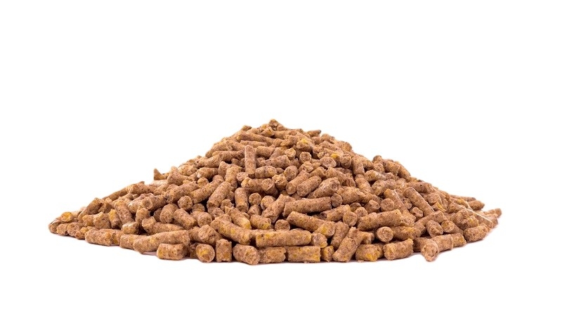 پایان دان دو