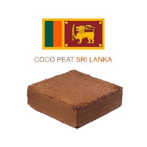 کوکوپیت سریلانکا قالب 5 کیلویی فاین گرین