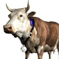 حسگرینو دام