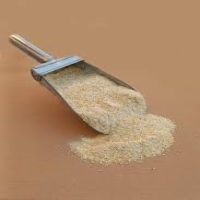 دان استارتر پلت دای 2