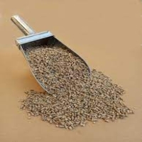 میان دان پلت دای 4