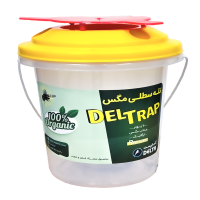 تله سطلی مگس