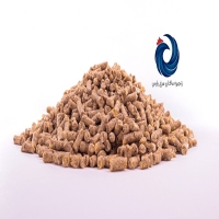 پایان دان یک