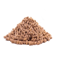 پایان دان یک