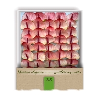 گل آنتوریوم واریته ماکسیما الگانس